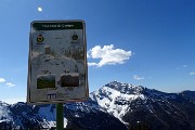 57 Roccolo di Campo (1817 m)
